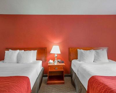 کمفرت این اند سویتز اسود