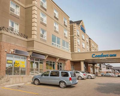 کمفرت این اند سویتز اسود