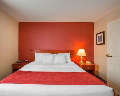 کمفرت این اند سویتز اسود