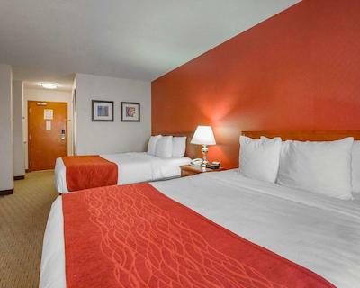 کمفرت این اند سویتز اسود