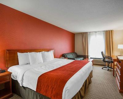 کمفرت این اند سویتز اسود