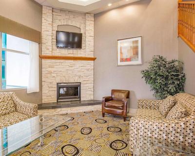 کمفرت این اند سویتز اسود