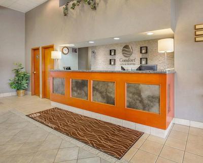 کمفرت این اند سویتز اسود