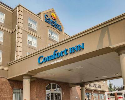 کمفرت این اند سویتز اسود