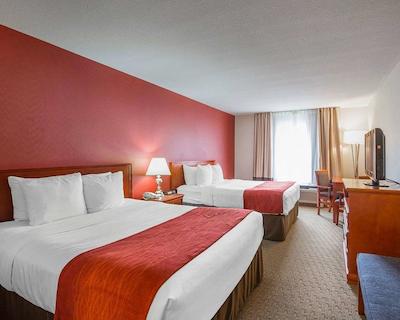 کمفرت این اند سویتز اسود