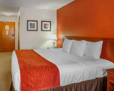 کمفرت این اند سویتز اسود