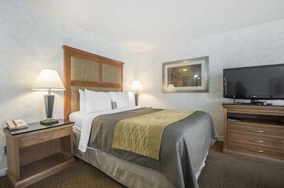 کمفرت این اند سویتز کاملوپز