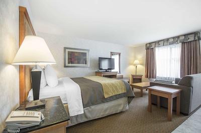 کمفرت این اند سویتز کاملوپز