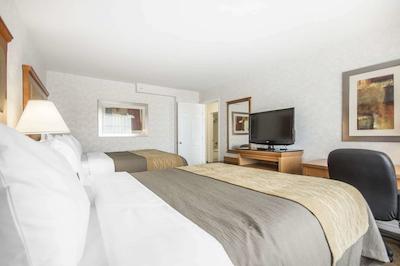 کمفرت این اند سویتز کاملوپز