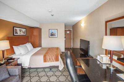 کمفرت این وست