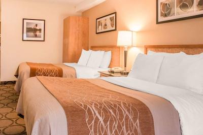 کمفرت این وست