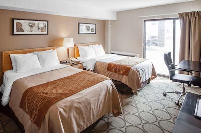 کمفرت این وست