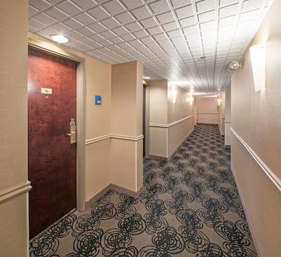 هلید این اکسپرز رد دیر