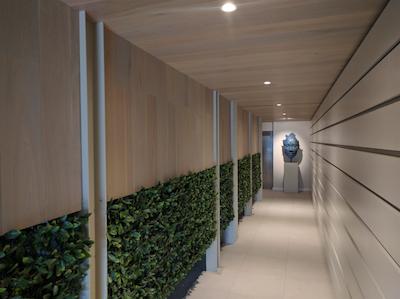 بلو ویوز استودیو اپارتمنتز