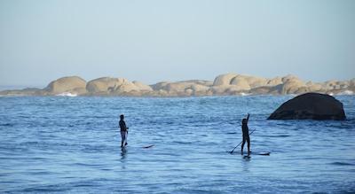 بلو ویوز استودیو اپارتمنتز