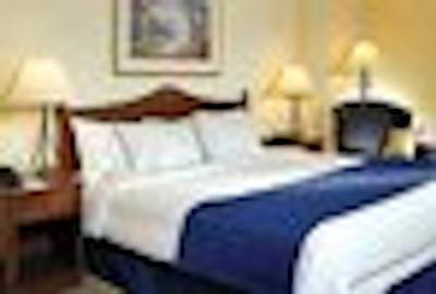 کبک سیتی ماریت دونتون