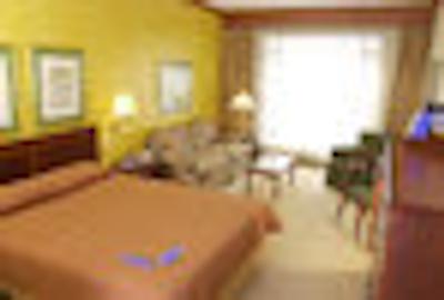 نه کالکشن بگوت هاسیندا ریال