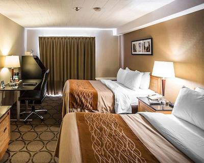 کمفرت این اُتاوا ایست