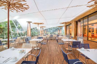 نه کالکشن بگوت تلپرت ریال