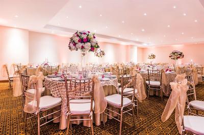 نه کالکشن بگوت تلپرت ریال