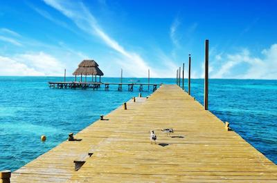 میا ریف ایسلا موجرز