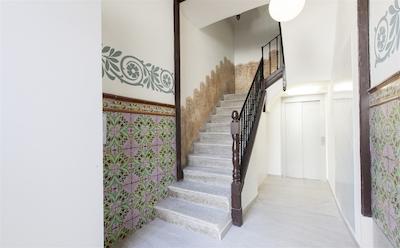 اسپاسیز چارمینگ فلاتز