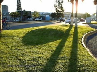 کاسا گراند چیهواهوا