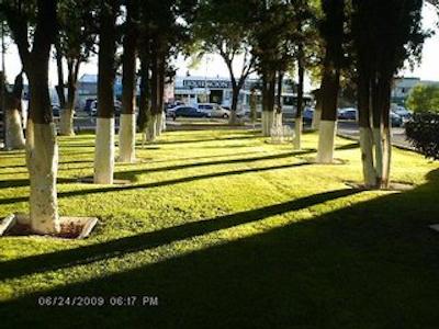 کاسا گراند چیهواهوا