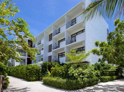 پلومریا مالدیو