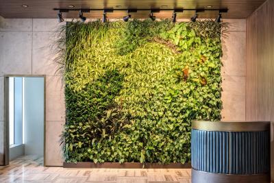 د دوگلاس اوتگراف کالکشن