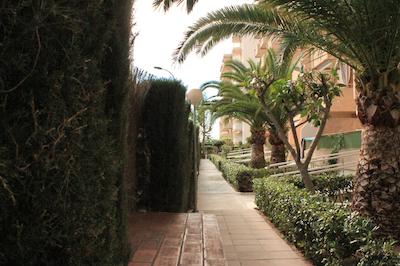 اپارتامنتز گاندیا پلا 3000