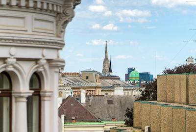 راداوز وین اند دیزاین