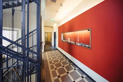 راداوز وین اند دیزاین