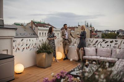 راداوز وین اند دیزاین