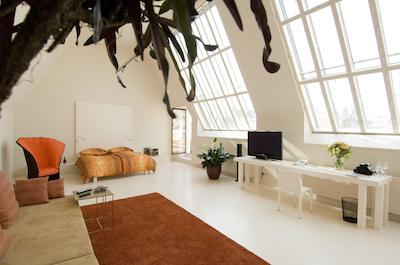 راداوز وین اند دیزاین