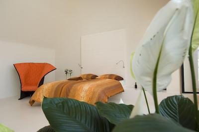 راداوز وین اند دیزاین