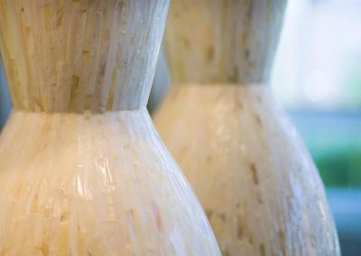 د وستین کنونشن سنتر پیتسبورگه