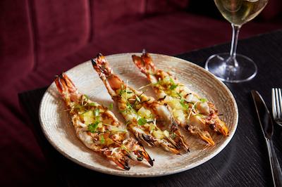 پریموز هتل اسیدنی