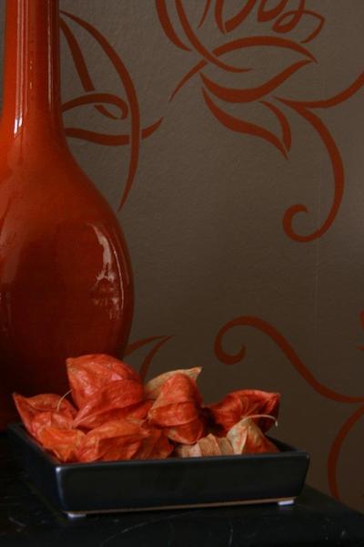 پیلوز انا وان دن وندل امستردام