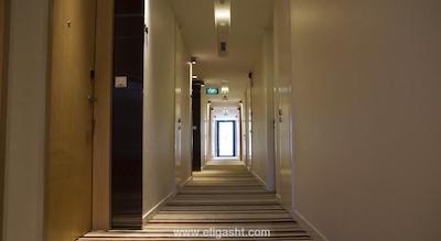 دیز سنگاپور ات ژونگشان پارک