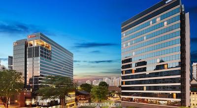 دیز سنگاپور ات ژونگشان پارک