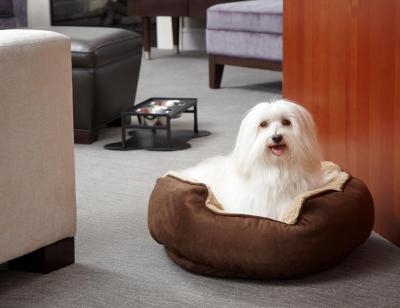 ترومپ اینترنیشنال هتل اند تور وانکوور