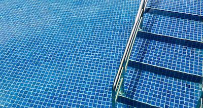 گولدن تولیپ پنتا نگرا