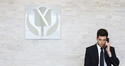 گولدن تولیپ پنتا نگرا