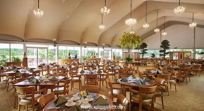 ریتز-کارلتون میلنیا