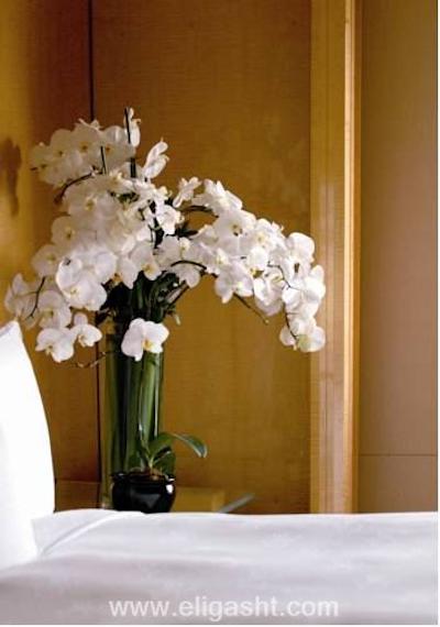 ریتز-کارلتون میلنیا