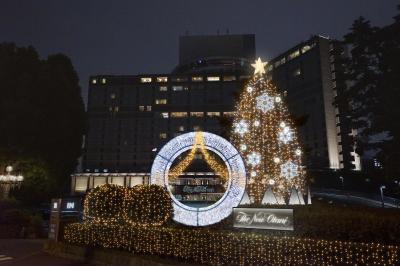 هتل نو اُتانی تکیو گاردن تور