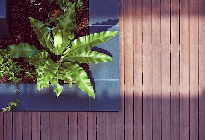 وریو سویتز کمپردون