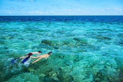 مرکور مالدیو کودو ریزورت