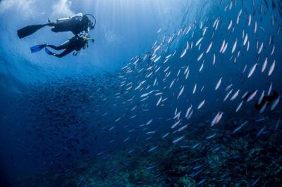 مرکور مالدیو کودو ریزورت
